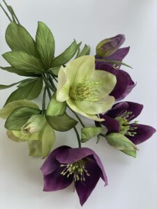 Ilzes Ozolas botānisko zīmējumu un Elīnas Pētersones zīda ziedu izstāde