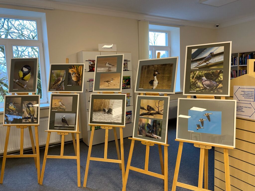 Ērika Bidiņa fotogrāfiju izstāde “Putni”