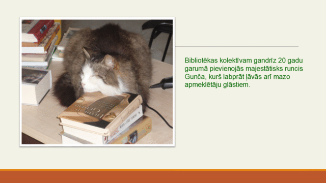 Imantas filialei 45 (22)