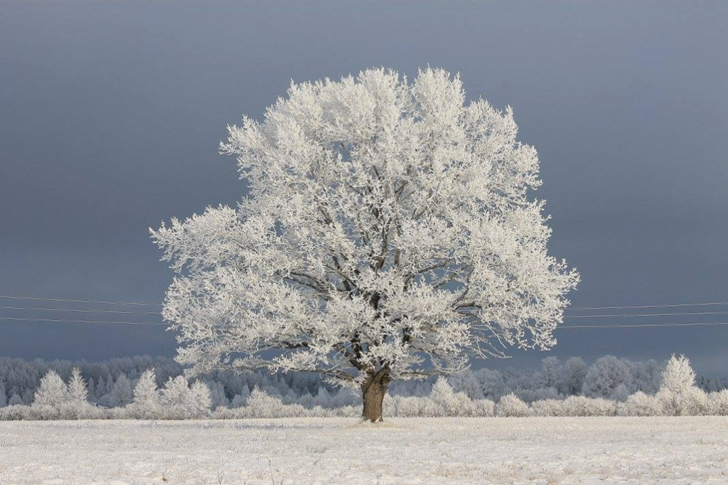 Muzikāla pēcpusdiena ar folkloras kopu “Laiva”